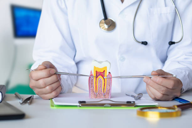Best Emergency Treatment for Dental Infections or Abscesses in Mount Pleasant, MI